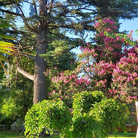Bed and Breakfast Quinta Ugarte Lujan de Cuyo Екстер'єр фото