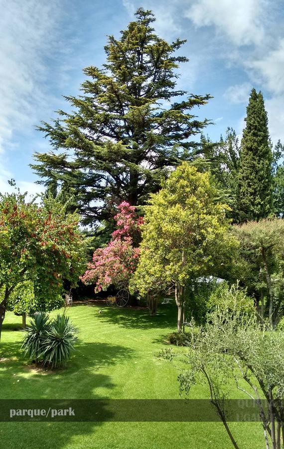 Bed and Breakfast Quinta Ugarte Lujan de Cuyo Екстер'єр фото