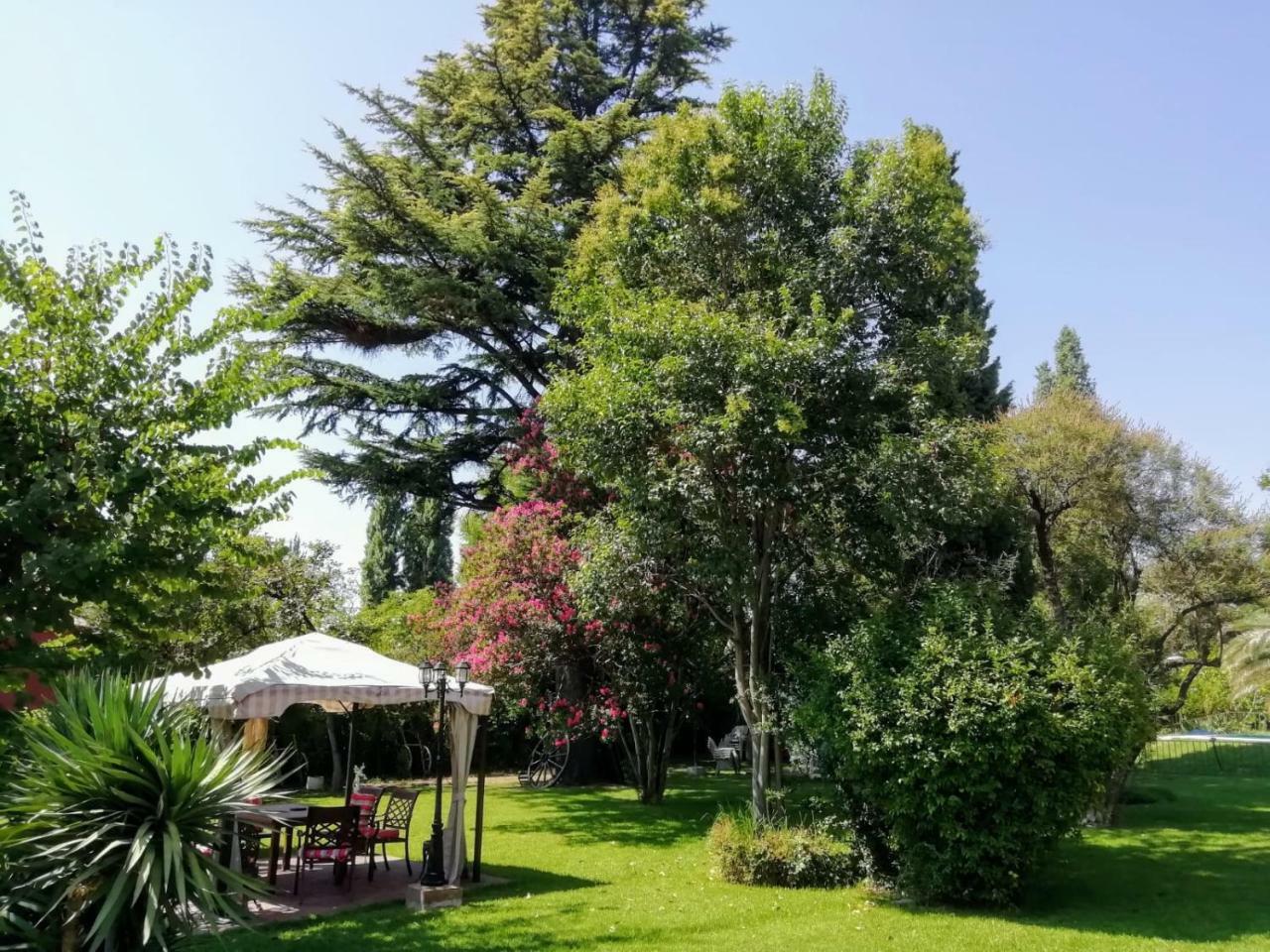 Bed and Breakfast Quinta Ugarte Lujan de Cuyo Екстер'єр фото